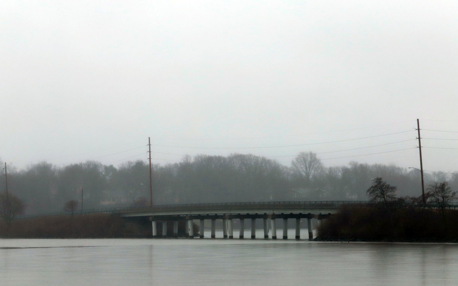 Fog 6 2.7.19.jpg